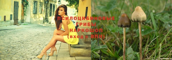 метадон Горняк