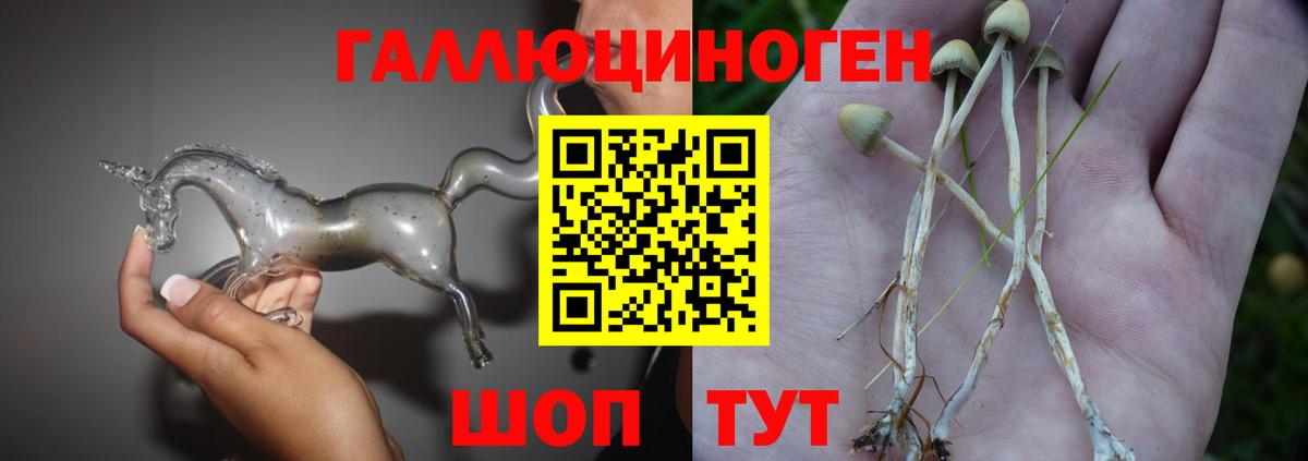 Псилоцибиновые грибы прущие грибы Дедовск